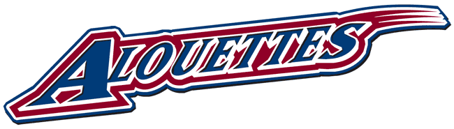 montreal alouettes 2005-pres wordmark logo iron on transfers for clothing